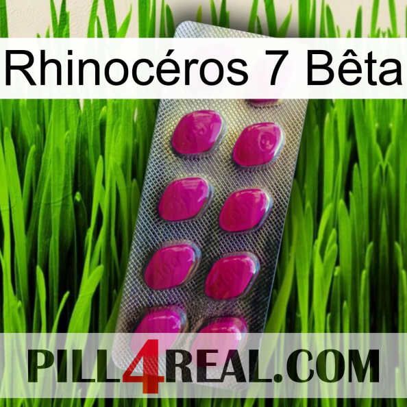 Rhinocéros 7 Bêta 09